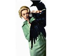 Fabulous Poster Vieille affiche de film les oiseaux (30x42cm) G