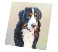 Fabulous Tableau Décoratif Toile Imprimée Saint Bernard Gros Chien Poil Long Mignon Noir Blanc Marron (60 cm x 60 cm)