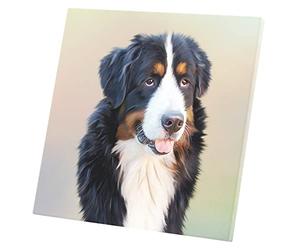 Fabulous Tableau Décoratif Toile Imprimée Saint Bernard Gros Chien Poil Long Mignon Noir Blanc Marron (60 cm x 60 cm)
