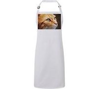 Fabulous Tablier Cuisine Premium Blanc Joli Chat Roux Europeen Fixe du Regard Blanc G