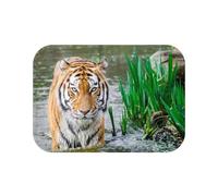 Fabulous Tapis de Salle de Bain Photo Baignade du Tigre Fauve Eau - Dimensions: 60 x 40 cm