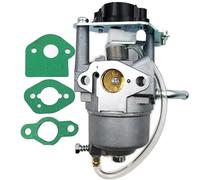 FACAIIO Carburateur 1600 2000 W Inverter Generator, Predator, Firman, ETQ, Rato, moteur 79cc avec kit de joints
