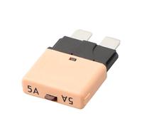 FACAIIO Disjoncteur à réinitialisation automatique à lame fine pour | Fusible thermique 10 A, 15 A, 20 A, 30 A, 12 V 24 V CC pour bateau, camping-car, automobile, conforme à la norme SAE J553