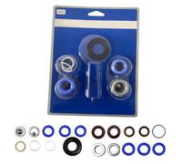 FACAIIO Kit de réparation de pompe pulvérisateur airless 248212 pour Graco | 695 795, GMax 3900, LineLazer 3900, Ensemble de joints en métal et caoutchouc de haute qualité