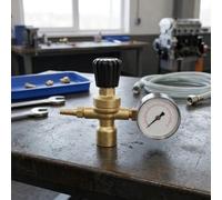 FACAIIO Mini régulateur de pression de gaz à une étape pour soudage au CO2 | Vanne réductrice en laiton fileté M10 x 1, commande à cadran de 0 à 6 bars avec tuyau de 6 mm