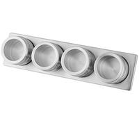 Fackelmann 42122 Set de 5 Barres de boîtes Alimentaires avec 4 Boîtes magnétiques Plastique/INOX Argent 31 x 8 x 4.5 cm