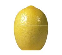 Fackelmann 47375 Boîte Fraicheur, Plastique, Jaune, 22 x 8 x 7.5 cm 47375