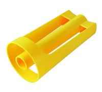 Fackelmann Coupe Ananas Plastique Multicolore