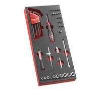 Facom Modul Steckschluessel 1/4Z R.161B 46tl