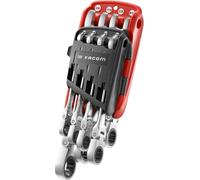 Facom Knarren-Ring-Maulschluessel-Set 8-tlg