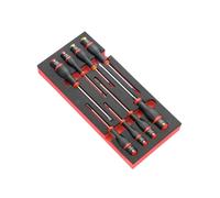 Facom Module Tamper Torx