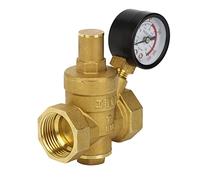 Fafeicy Régulateur de Pression d'eau Réducteur de Pression en Laiton DN25 Réglable 1,6 MPa avec Structure de Piston de Compteur, Bouton Supérieur de Commande pour équipement d'eau du Robinet,