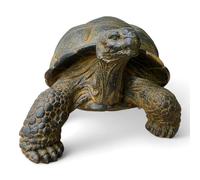 FaHome Figurines de tortues en pierre - Piscine, jardin, terrasse - Durables et résistantes aux intempéries - Jaunâtre en béton de fibre de verre - 32, 47 et 65 cm (Grand)