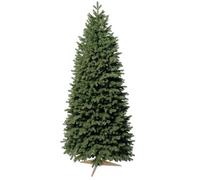 FAIRYTREES Sapin Nordmann Premium 100% PE étroit 180 cm Vert