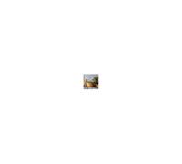 OGO Living Faitout Ector Aluminium revêtu Induction 24 cm Jaune