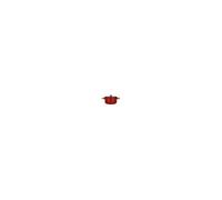 Faitout Ogoliving 24 cm paprika - ector