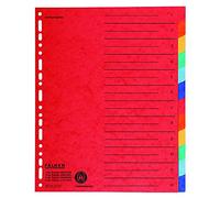 Falken 20x intercalaires en carton extra-larges pour A4+ 24,5 x 30 cm avec impression organisationnelle, 12 pièces, entièrement colorés, 2 x 6 couleurs, pour le rangement de pochettes pour prospectus