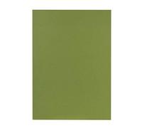 Falken - Réf. 80001167002F - Carton de 100 chemises carte recy A4 - Vert