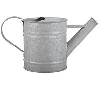 Esschert Design Arrosoir Fallen Fruits 0,75 L Zinc vieilli extérieur