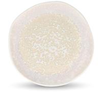 Fameilleur Rocha Assiette Plate Porcelaine Beige 25cm Lot de 2 | Émail Réactif