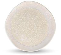 Fameilleur Rocha Grande Assiette Plate Porcelaine Beige 29,5cm Lot de 2 | Émail Réactif