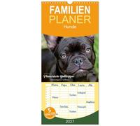 Familienplaner 2027 - Französische Bulldoggen - Schutzengel auf 4 Pfoten mit 5 Spalten (Wandkalender, 21 x 45 cm) CALVENDO: Die Fotografin Kerstin ... hochqualitativen Fotojahreskalender fest.