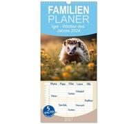 Familienplaner 2027 - Igel - Wildtier des Jahres 2024 mit 5 Spalten (Wandkalender, 21 x 45 cm) CALVENDO