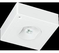 Famostar CELO Luminaire De Secours - 392002