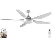 Fanelite - Brasseur d'air 137 cm blanc ABACO - Moteur DC 35W - Lumière LED 20W dimmable 3 couleurs - Télécommande - Wifi - Contrôles vocaux - 5 pales - Très silencieux