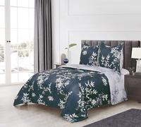 Fanny & Céline Couette Chaude 600 GSM 220x240cm+65x65cmx2 Confortable Douceur extrême EL-2022-039