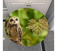 FANSU 3D Nappes Rondes Anti Taches, Hibou Imprimé Protège Table avec Bord Élastique Imperméable Polyester Nappe Table pour Salle à Manger/Jardin/Extérieur (Chouette feuillue,Diamètre 140cm)
