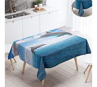 FANSU Nappe Rectangulaire, 3D Dauphin Nappe de Table Imperméable Anti Tache Résistant Lavable et Facile d?Entretien Nappe pour Fête Restaurant Cuisine Jardin Décoration (Bleu Ciel,100x140cm)