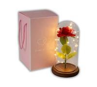 fapadjo Rose Éternelle sous Cloche LED avec ou sans Personnalisation - Rose Rouge, Packaging Cadeau Rose, Étiquette gravée personnalisée - Hauteur 23 cm