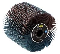 Fartools Brosse Abrasive à Lanières Ø120 x 100 mm pour Rénovateur REX120C | Rouleau Grain 80 Compatible REX200 et REX-H200, Ponçage et Dégrisage Surfaces Incurvées, Terrasse, Mobilier, Volets, Portail