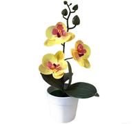 Fauhapyway Orchidée artificielle en pot de 26 cm, bonsaï phalaenopsis artificiel pour salon, composition florale résistante aux UV, décoration de bureau (jaune)