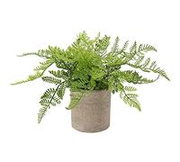 Fausses Plantes artificielles fougères dans Un Pot, fougère Artificielle, Plante Artificielle, Petites Plantes artificielles d'intérieur artificielles pour Maison, Bureau, Livre, café, décoration