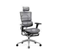 Fauteuil ergonomique DIABLO V-MASTER: Noir-Gris