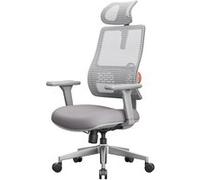 Fauteuil Ergonomique MAGICH003 - Dossier Auto-Adaptatif - Soutien Lombaire - Accoudoirs 3D - Gris