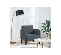 vidaXL Fauteuil avec accoudoirs 54 cm Velours Gris foncé