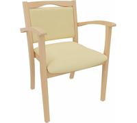 Fauteuil pour personnes âgées Alexander avec accoudoirs – Fauteuil d'aide, en bois massif de hêtre, rembourré, ergonomique, stable, livré entièrement assemblé, idéal pour les personnes âgées, les soin