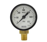 Favex - Manomètre gaz - Manomètre 0-600 mbar - Raccord vertical Mâle 10x100 -