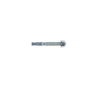 FBN II Boulon d'ancrage 6x55 mm M10 505527 boîte 100 acier électrozingué