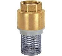 FCfpxwtz Crépine de clapet de Pied en Laiton et Acier Inoxydable | 1/2, 3/4, 1, 1-1/4, 1-1/2, 2 pouces : for pompe ou bas de canalisation(1 1/4")