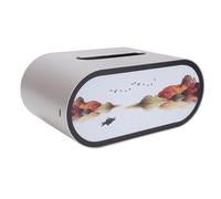 Fdit Boîte à Mouchoirs Veilleuse Design Unique éclairage Artistique pour Chambre à Coucher et Coiffeuse 3 Couleurs et Longue Durée de Vie de la Batterie (B)
