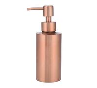 Fdit Distributeur de savon liquide en acier inoxydable pour cuisine, salle de bain, comptoir, pompe à main (250 ml)