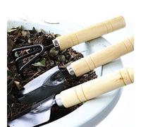 Fdit Ensemble de Mini Outils de Jardin 3 Pièces avec Poignées en Bois, Pelles en Fer et Râteau pour L'entretien des Plantes en Pot (Couleur Assortie)