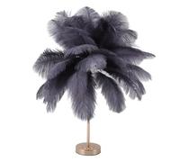 Fdit Lampe de Table en Plumes D'autruche, 30 Pièces, Lampe de Bureau Décorative avec Commande Tactile, Lumière 3 Couleurs, Batterie Rechargeable USB C pour Chambre à Coucher, Salon, (GREY)