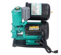 Fdit Pompe à Eau Auto-amorçante 250W, Moteur en Cuivre Pur, Corps en Fonte et Clapet Anti-retour pour Arrosage Jardin Domestique (Prise UE)