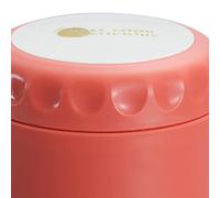 Fdit Tasse à Soupe en Acier Inoxydable Isolée Thermiquement avec une Bonne étanchéité pour Pique-nique au Bureau et à L'école (Inox Rouge)