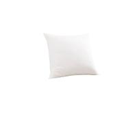 Fdl-r OREILLER SENSATION DUVET - 65/65